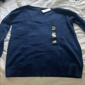 Banana Republic blue sweater